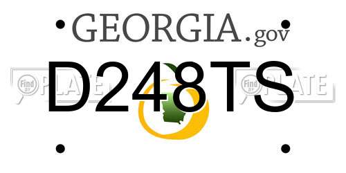 D248TS Georgia License Plate