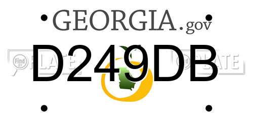 D249DB Georgia License Plate