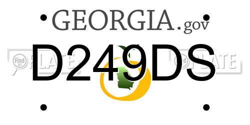D249DS Georgia License Plate