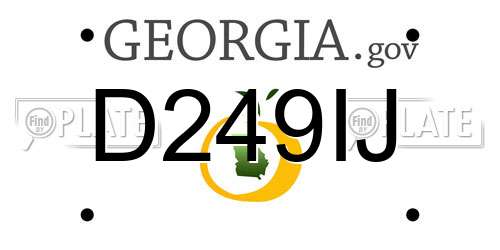D249IJ Georgia License Plate