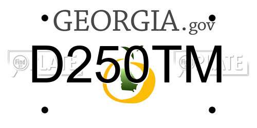 D250TM Georgia License Plate