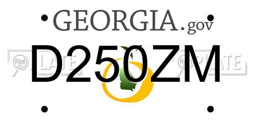 D250ZM Georgia License Plate