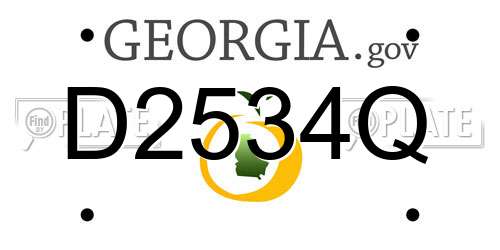 D2534Q Georgia License Plate
