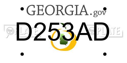D253AD Georgia License Plate