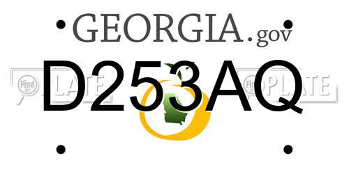 D253AQ Georgia License Plate