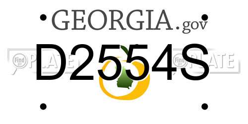 D2554S Georgia License Plate