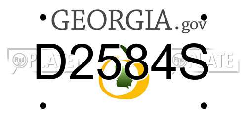 D2584S Georgia License Plate