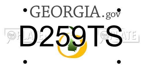 D259TS Georgia License Plate