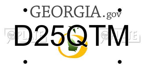 D25QTM Georgia License Plate