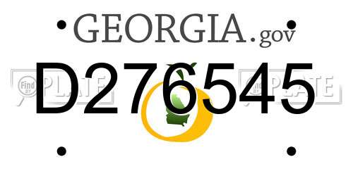 D276545 Georgia License Plate