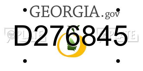 D276845 Georgia License Plate