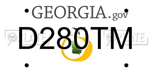 D280TM Georgia License Plate