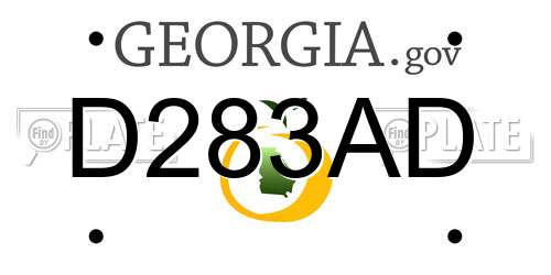 D283AD Georgia License Plate