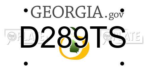 D289TS Georgia License Plate