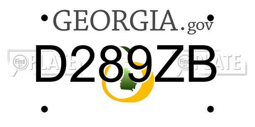 D289ZB Georgia License Plate