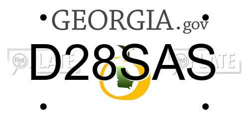 D28SAS Georgia License Plate