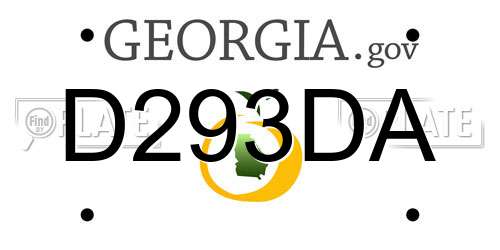 D293DA Georgia License Plate