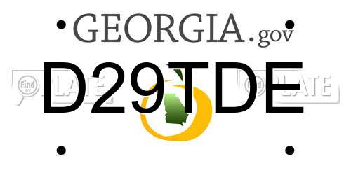 D29TDE Georgia License Plate