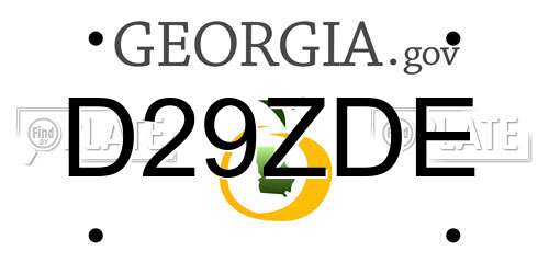 D29ZDE Georgia License Plate