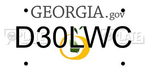 D30LWC Georgia License Plate