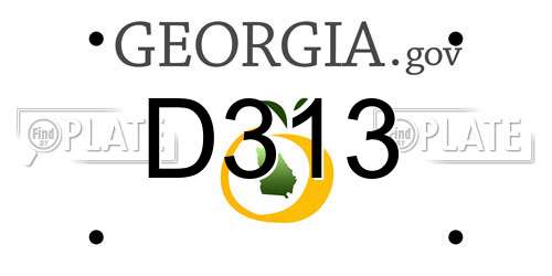 D313 Georgia License Plate
