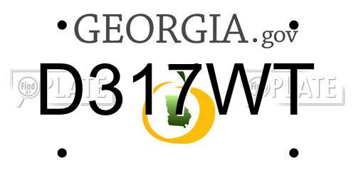 D317WT Georgia License Plate