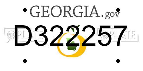 D322257 Georgia License Plate