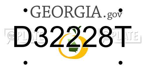 D32228T Georgia License Plate