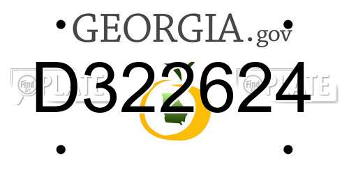 D322624 Georgia License Plate