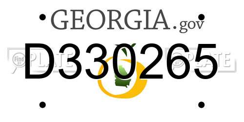 D330265 Georgia License Plate