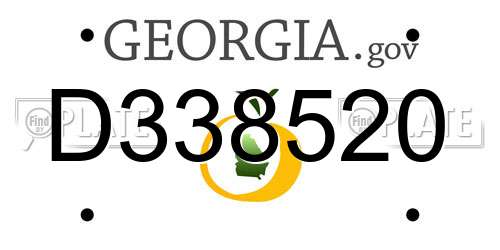 D338520 Georgia License Plate