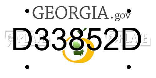 D33852D Georgia License Plate