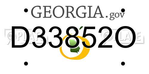 D33852O Georgia License Plate