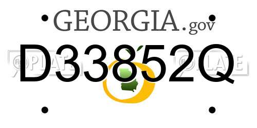 D33852Q Georgia License Plate