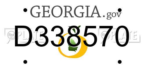 D338570 Georgia License Plate