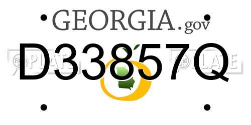 D33857Q Georgia License Plate