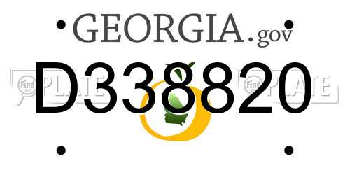 D338820 Georgia License Plate