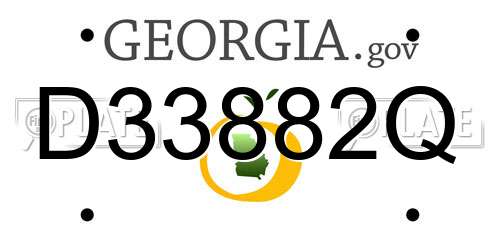 D33882Q Georgia License Plate