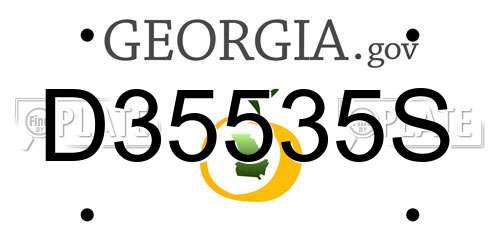 D35535S Georgia License Plate