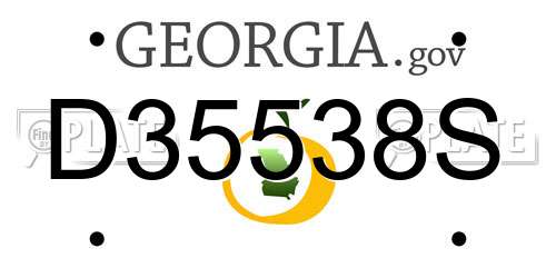 D35538S Georgia License Plate