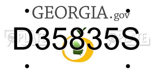 D35835S Georgia License Plate
