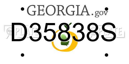 D35838S Georgia License Plate