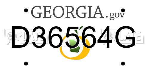 D36564G Georgia License Plate