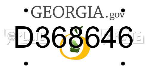D368646 Georgia License Plate