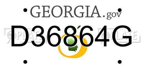D36864G Georgia License Plate