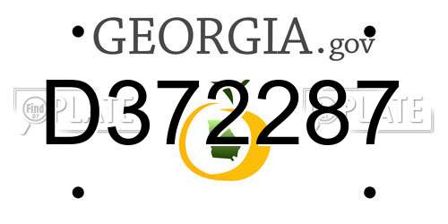 D372287 Georgia License Plate