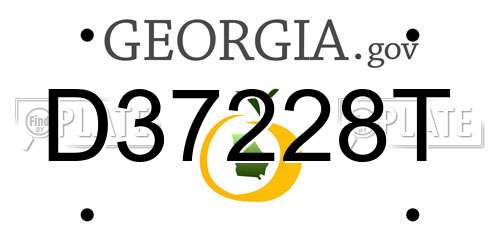 D37228T Georgia License Plate
