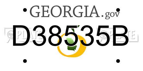 D38535B Georgia License Plate