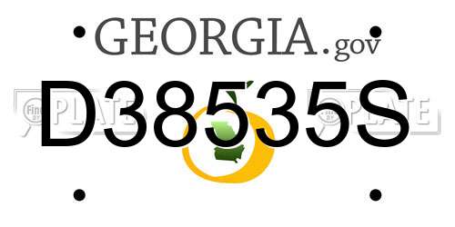 D38535S Georgia License Plate