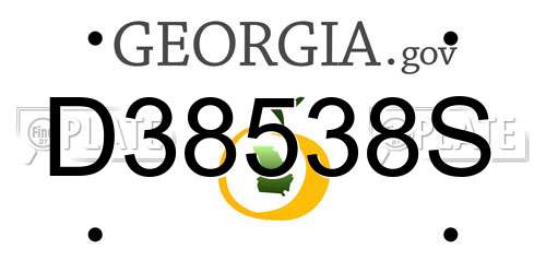D38538S Georgia License Plate
